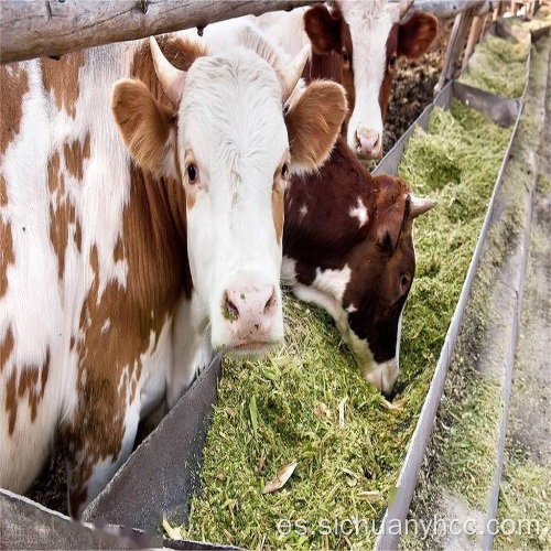 Cría de animales vitamina k3 msb